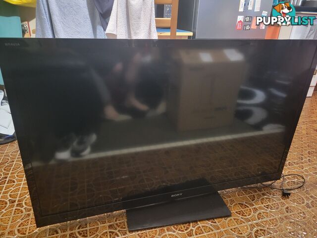Sony Bravia 55 inch LCD FHD TV
