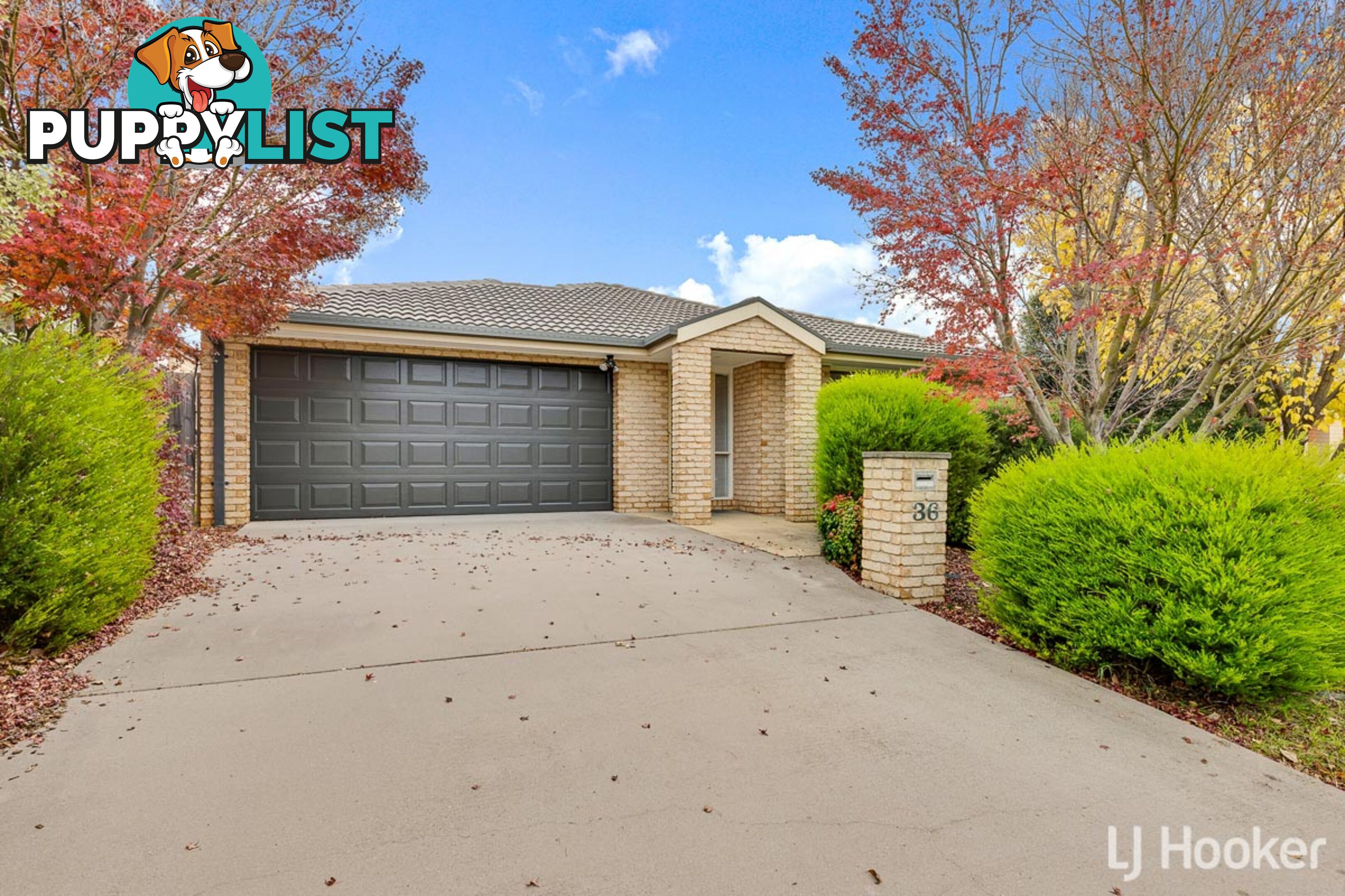 36 Petersilka Street GUNGAHLIN ACT 2912