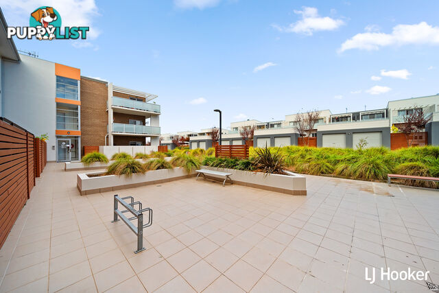 176/61 John Gorton Drive WRIGHT ACT 2611