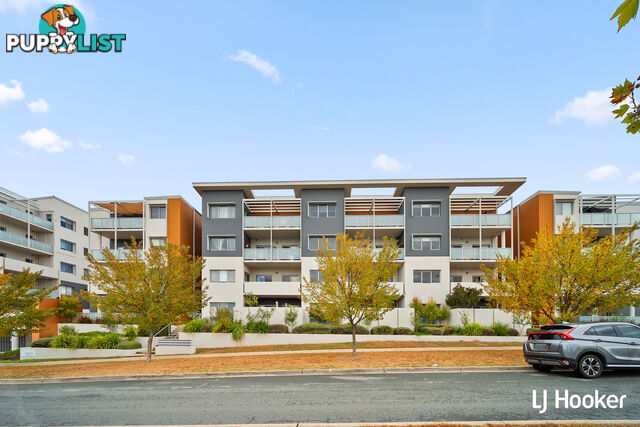 176/61 John Gorton Drive WRIGHT ACT 2611