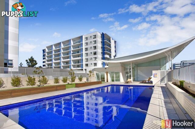 113/72 College Street BELCONNEN ACT 2617