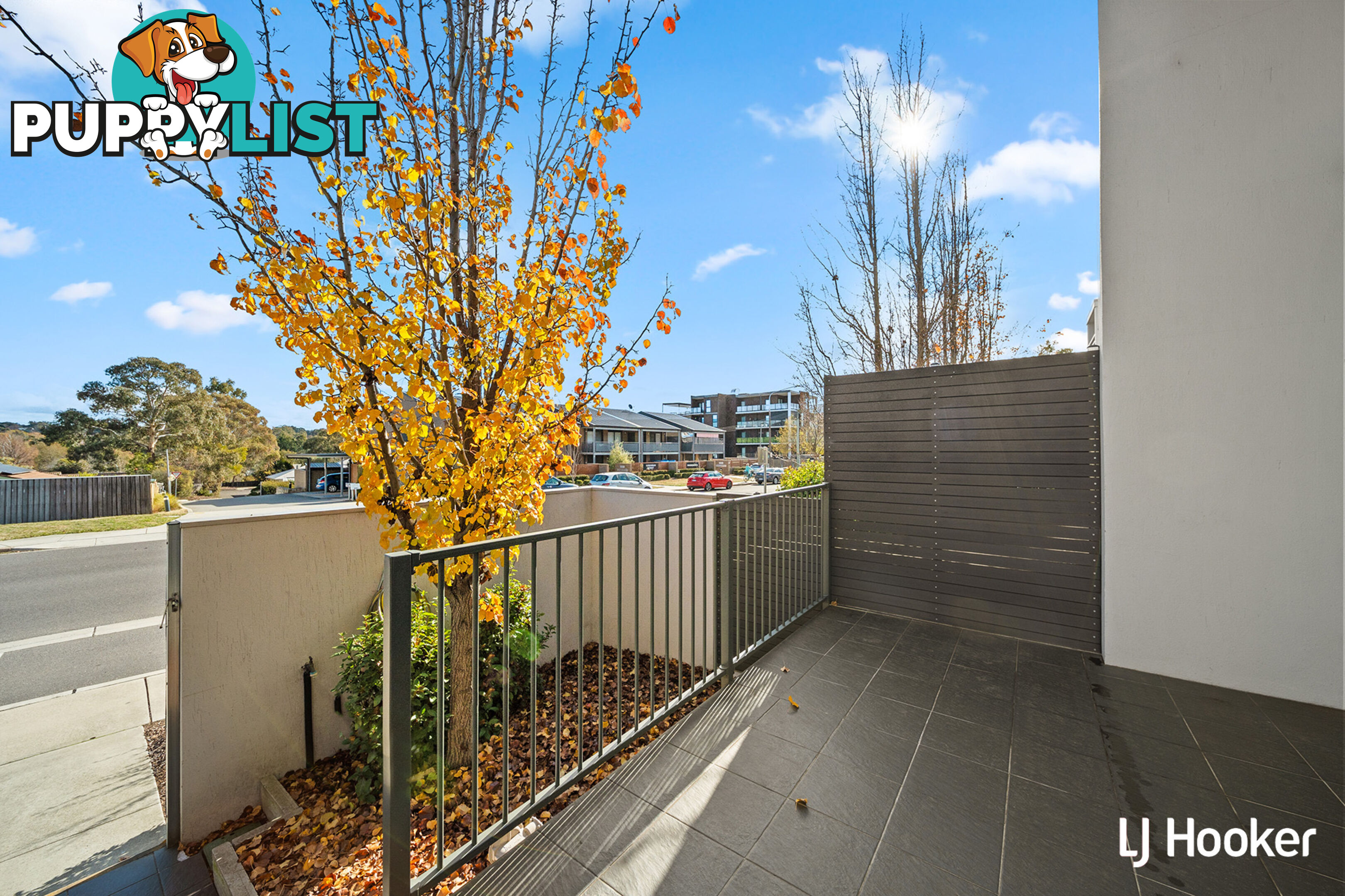 34 Bowman Street MACQUARIE ACT 2614