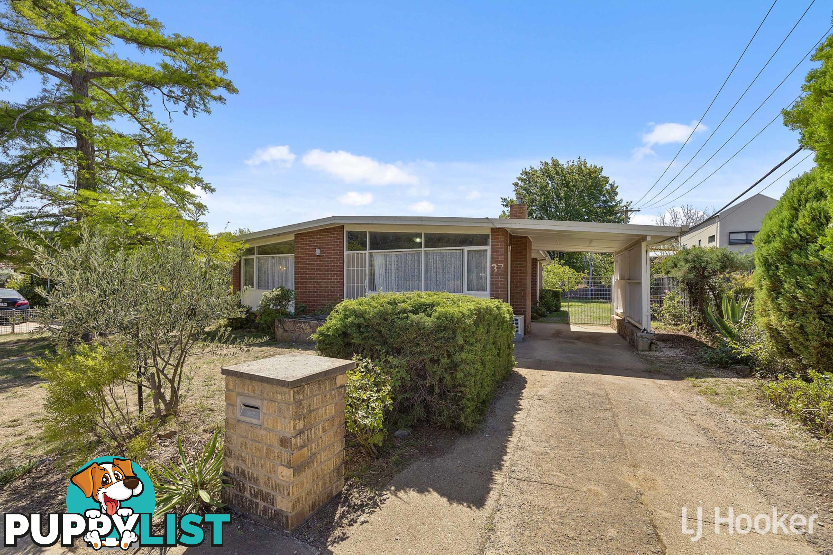 37 Majura Avenue DICKSON ACT 2602