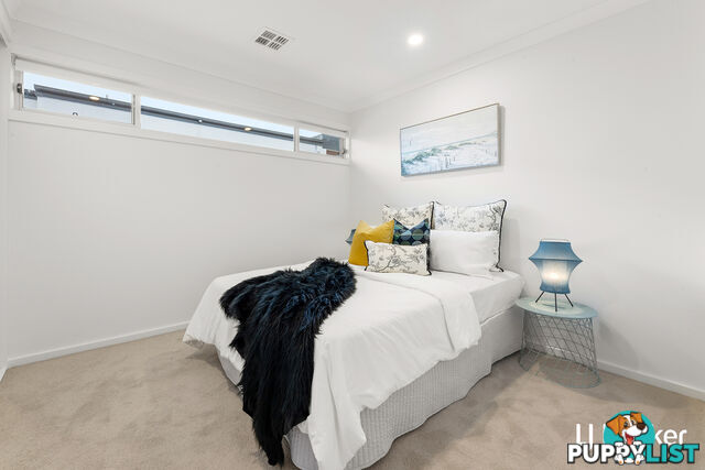 19 Danaher Street WHITLAM ACT 2611