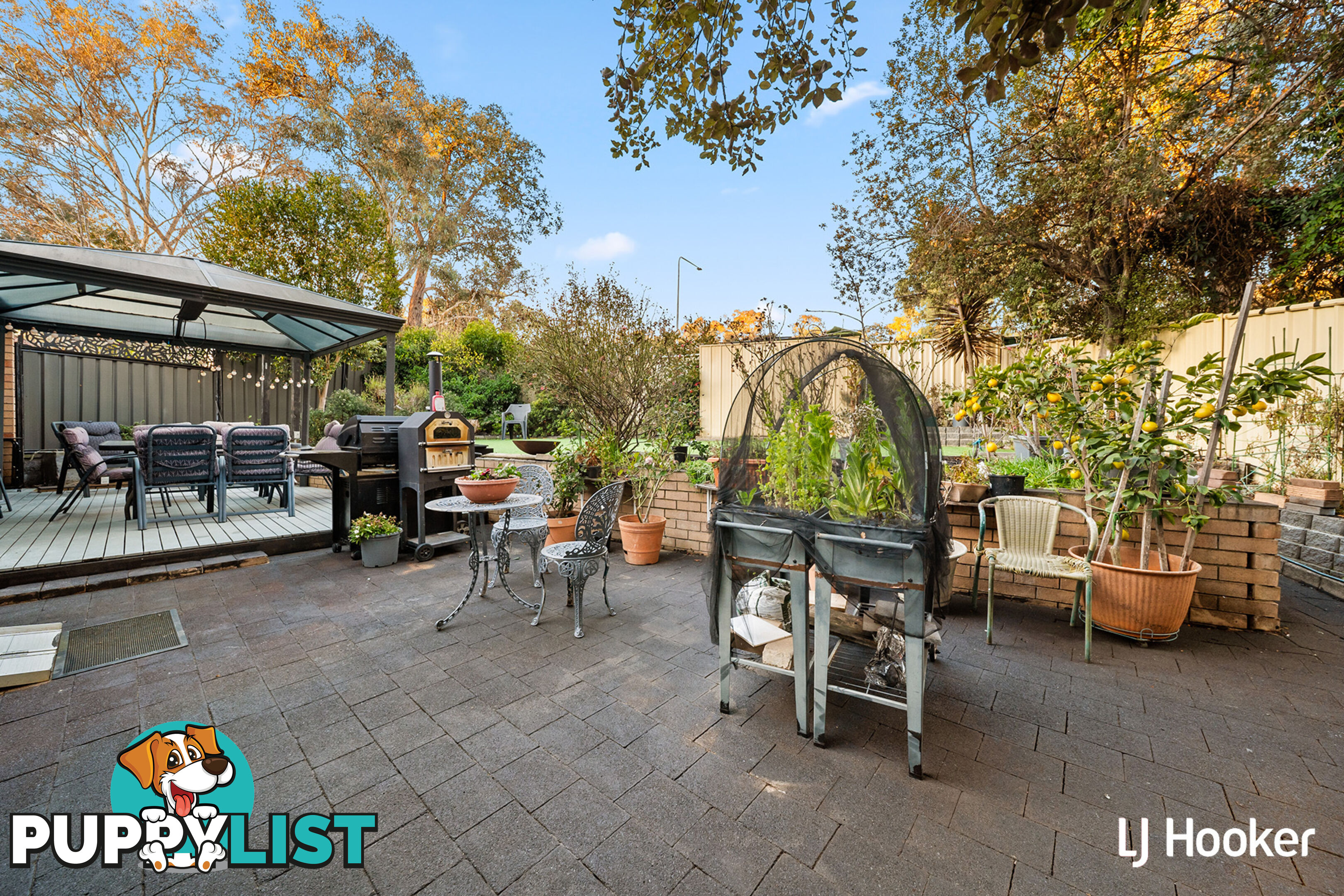 38 Renny Place BELCONNEN ACT 2617