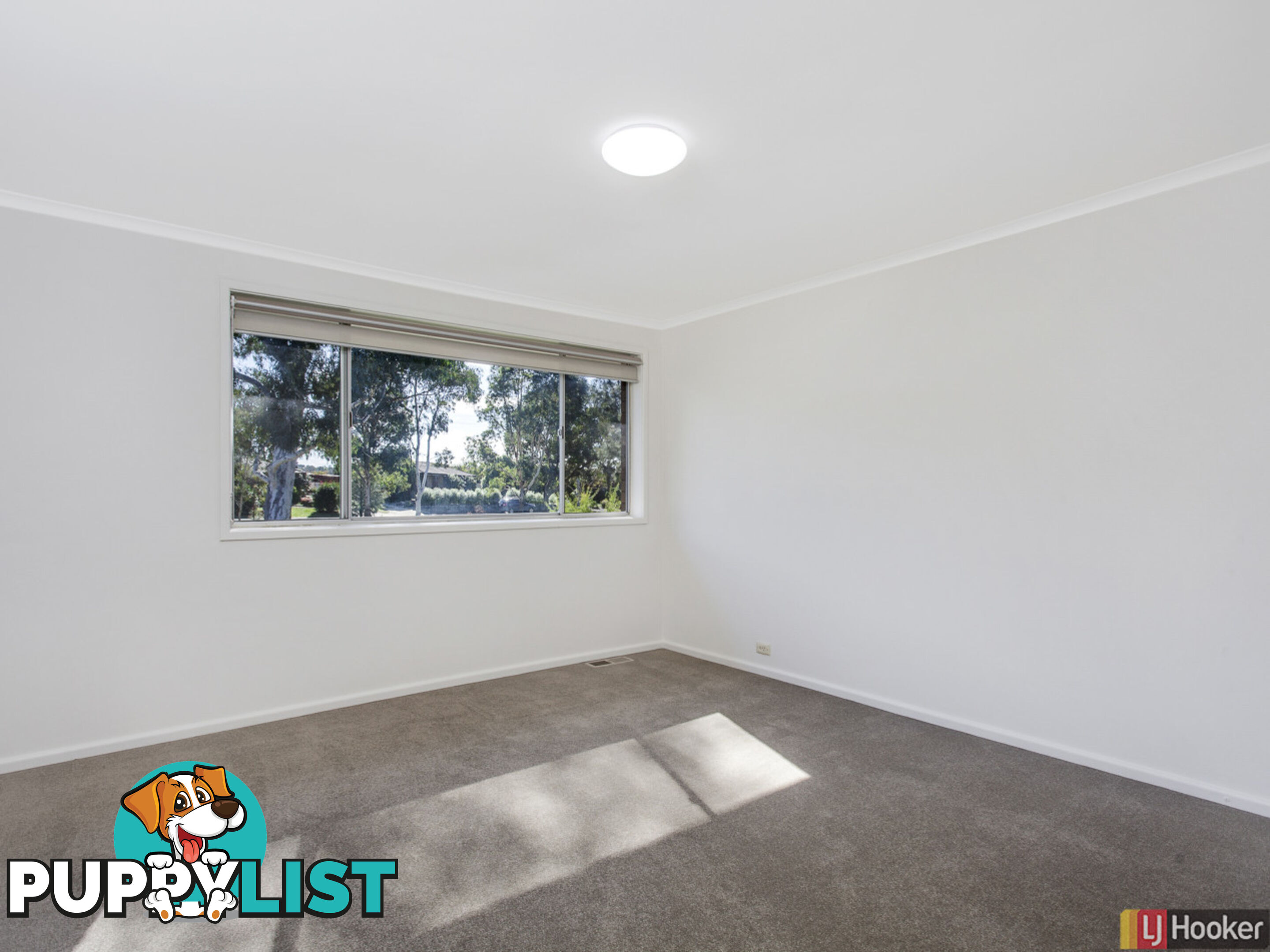 331 Southern Cross Drive HOLT ACT 2615