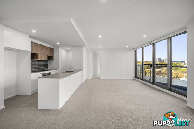 146/15 Irving Street PHILLIP ACT 2606