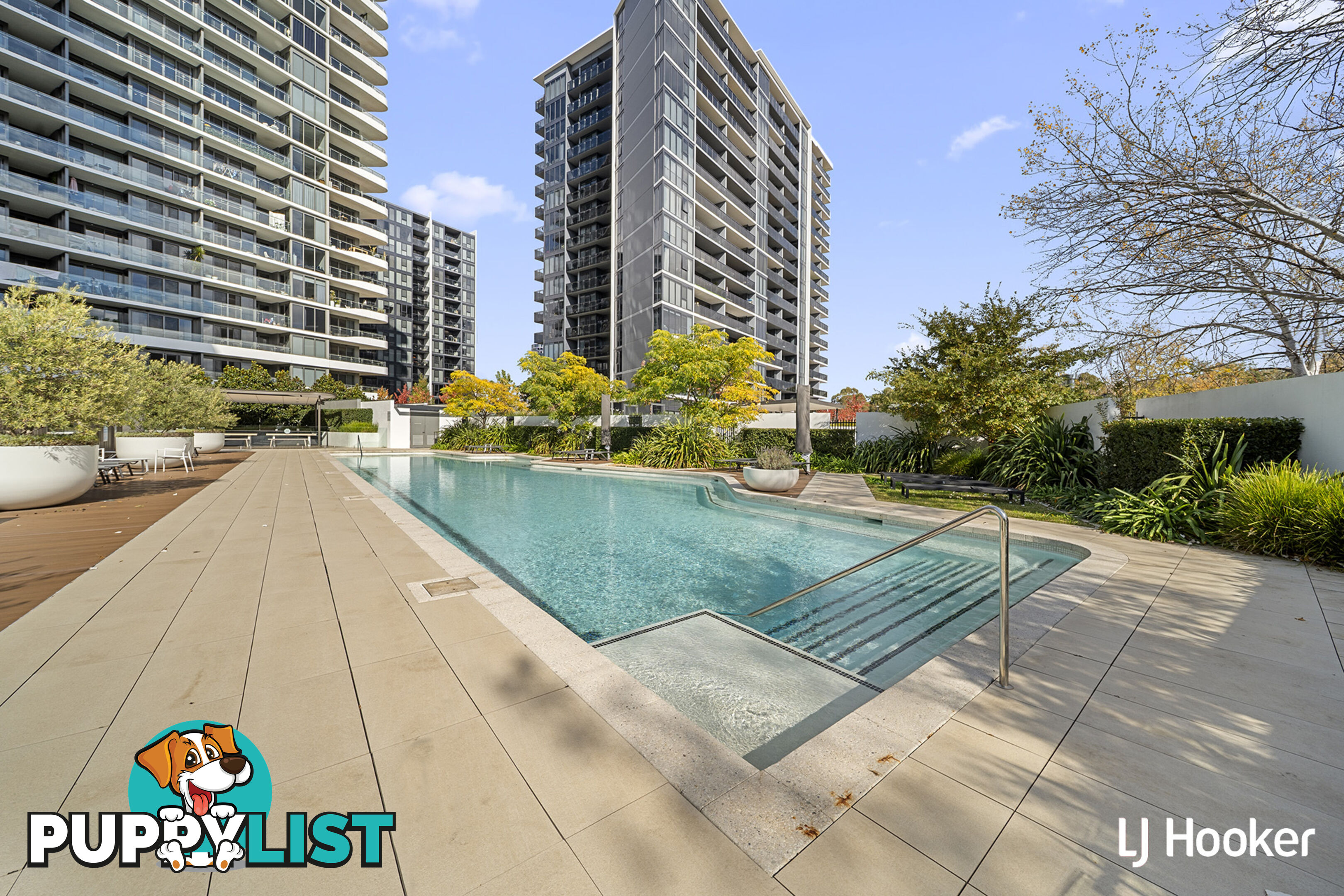 146/15 Irving Street PHILLIP ACT 2606