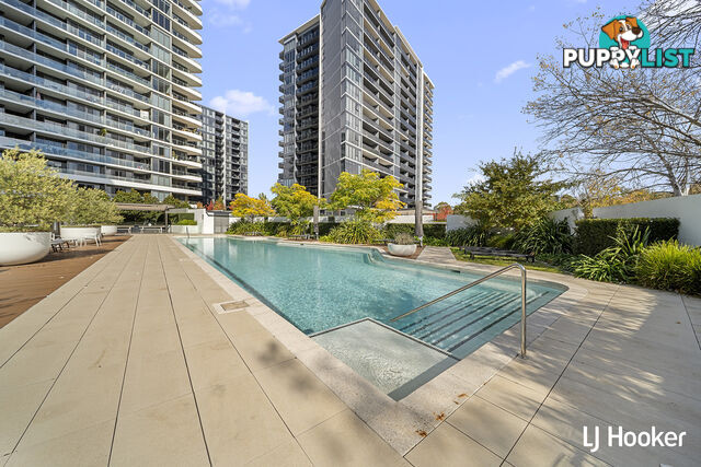 146/15 Irving Street PHILLIP ACT 2606