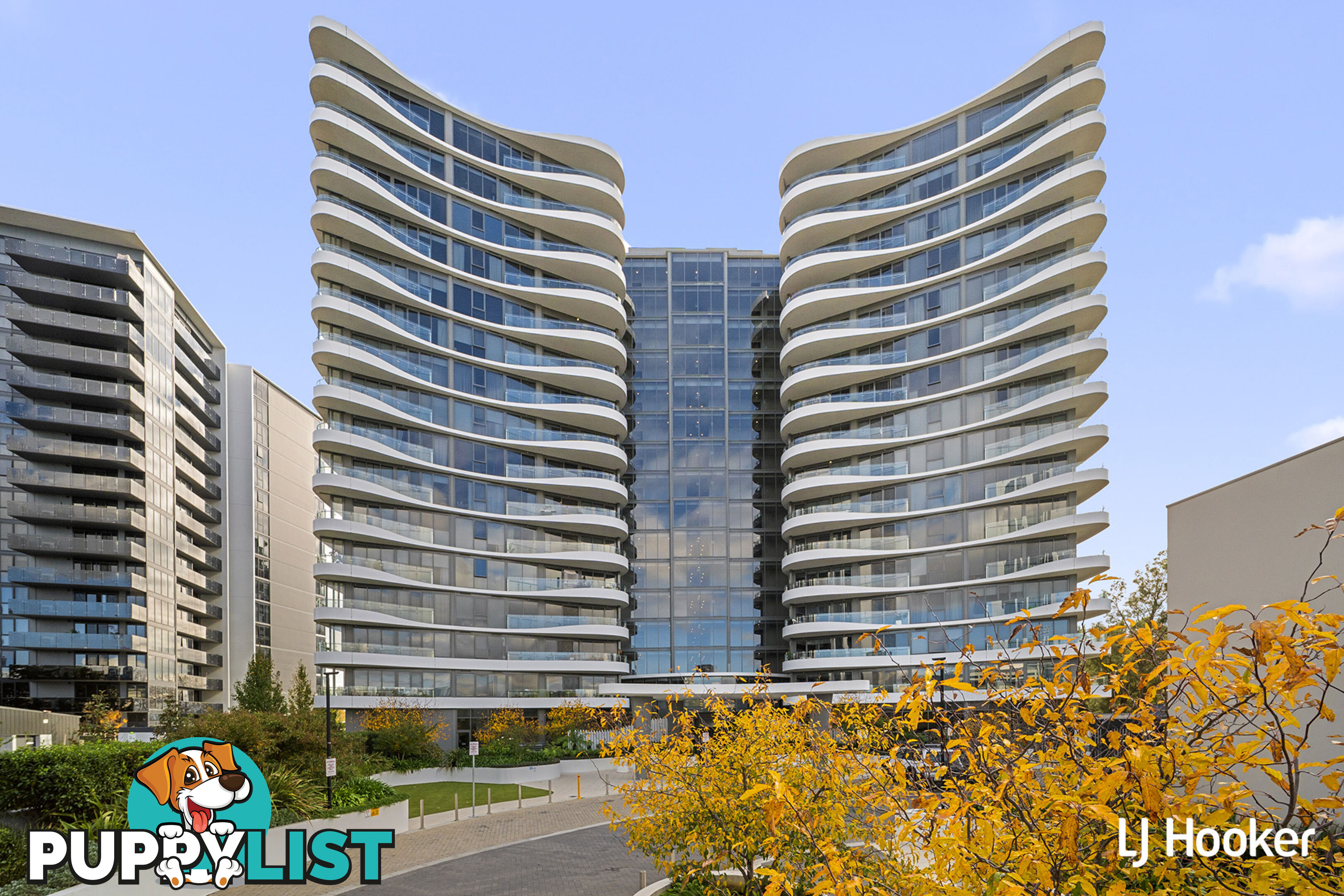 146/15 Irving Street PHILLIP ACT 2606