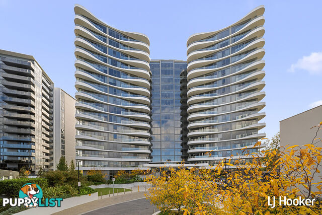 146/15 Irving Street PHILLIP ACT 2606
