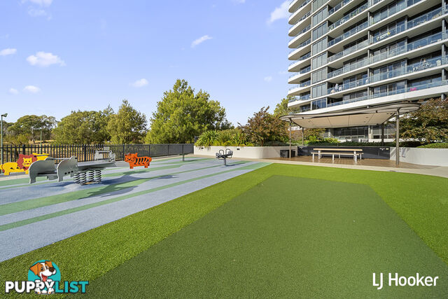 146/15 Irving Street PHILLIP ACT 2606
