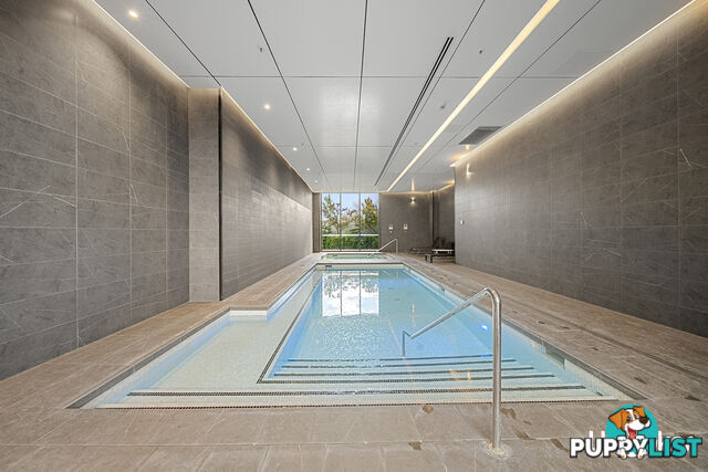 146/15 Irving Street PHILLIP ACT 2606