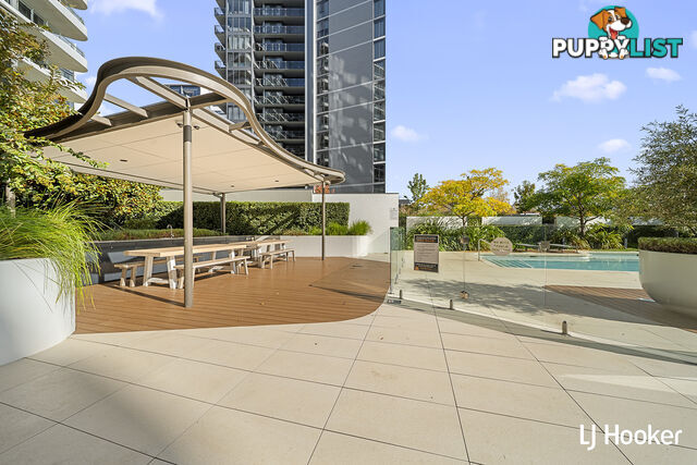 146/15 Irving Street PHILLIP ACT 2606