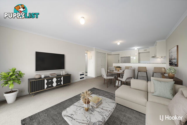 14A/17 Chandler Street BELCONNEN ACT 2617