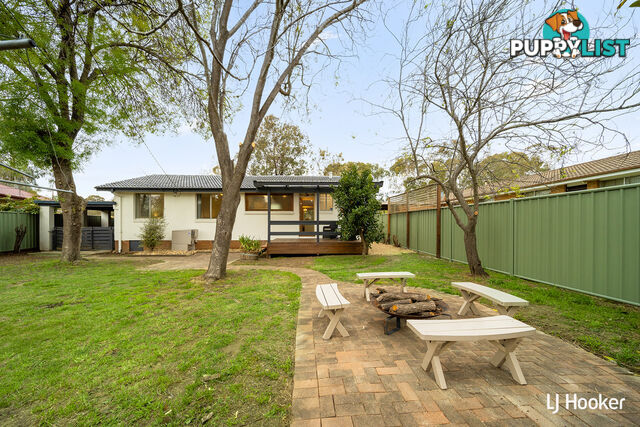 31 Mackinolty Street SCULLIN ACT 2614