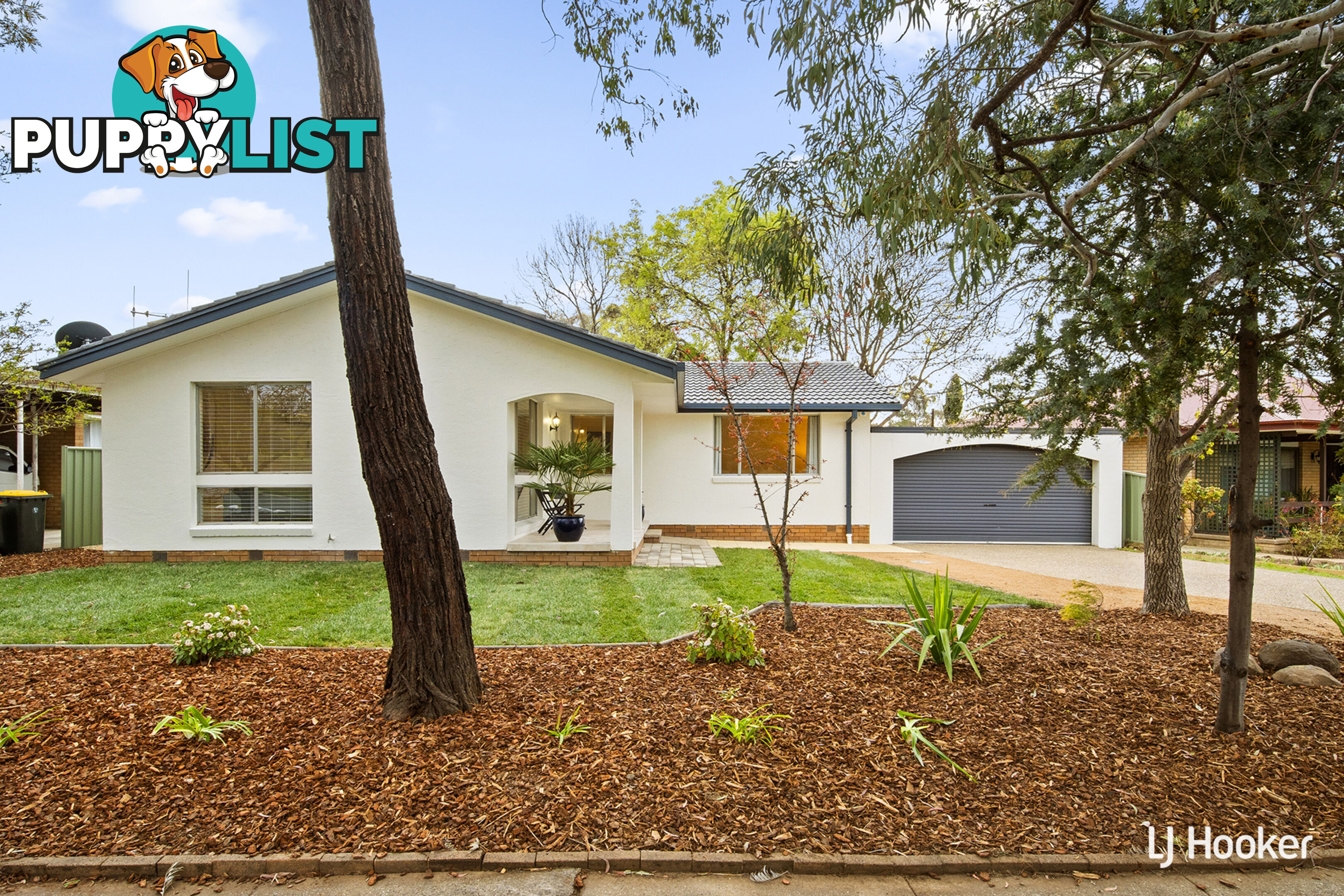 31 Mackinolty Street SCULLIN ACT 2614