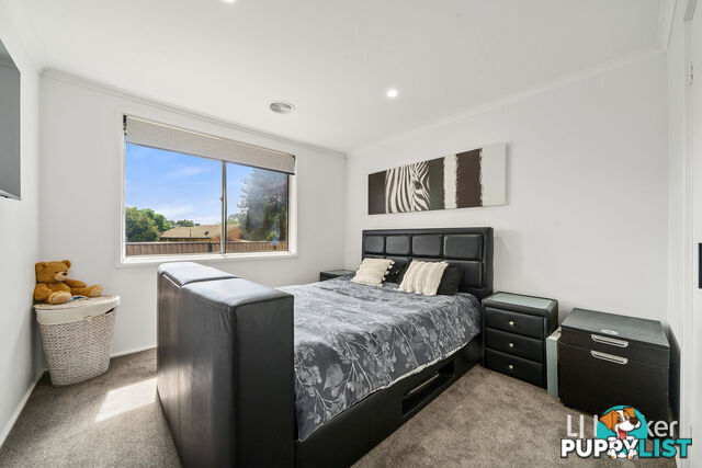 15 Pavonia Street RIVETT ACT 2611