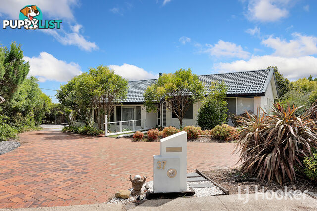 37 Dalley Crescent LATHAM ACT 2615