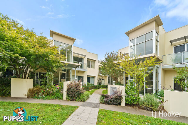 8/15 Fox Place LYNEHAM ACT 2602