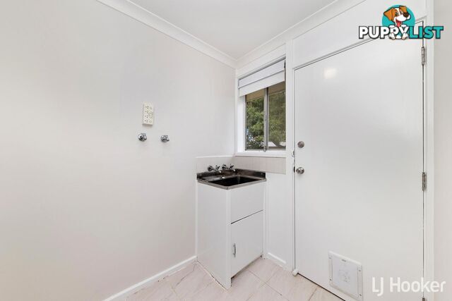 43 Kinsella Street HIGGINS ACT 2615