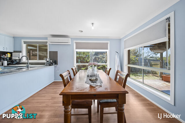 16 Marcus Faunce Street MACGREGOR ACT 2615