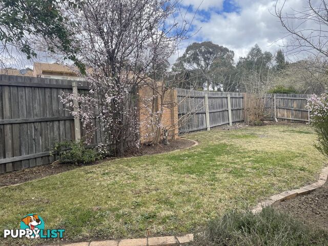 13/33 Ebenezer Street BONYTHON ACT 2905