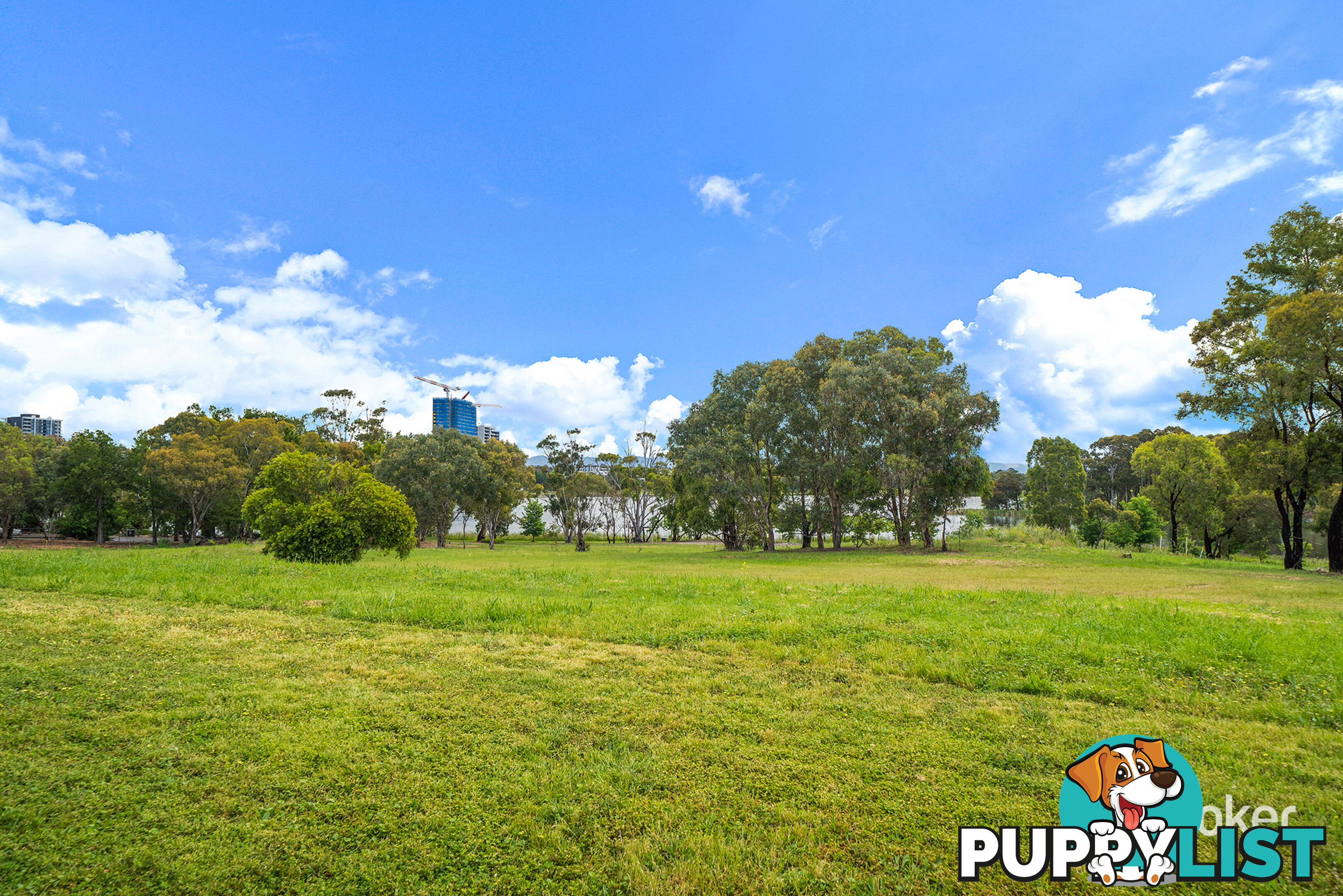 11/11 Joy Cummings Place BELCONNEN ACT 2617