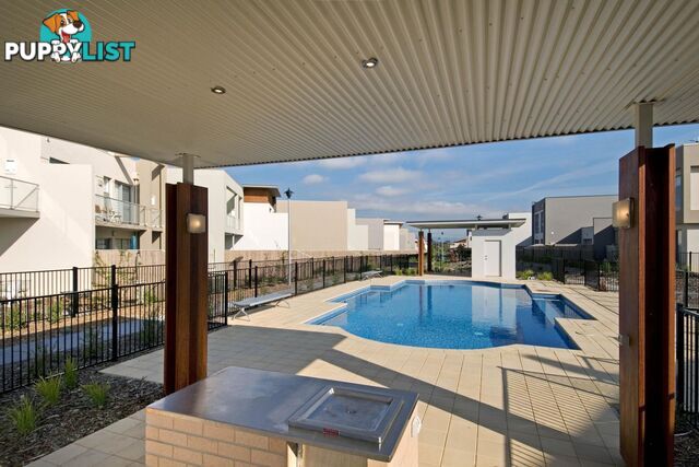 11/11 Joy Cummings Place BELCONNEN ACT 2617
