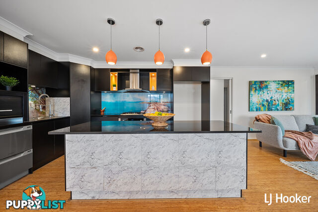 66 Hilda Kincaid Crescent MACGREGOR ACT 2615