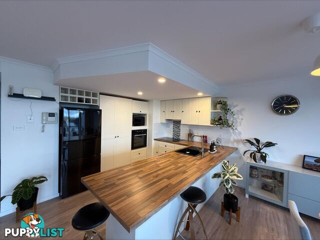 36/13 Chandler Street BELCONNEN ACT 2617