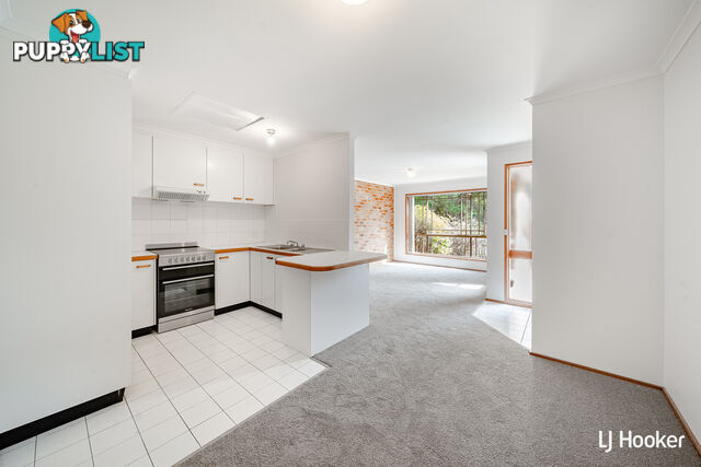 16 Ranken Place BELCONNEN ACT 2617