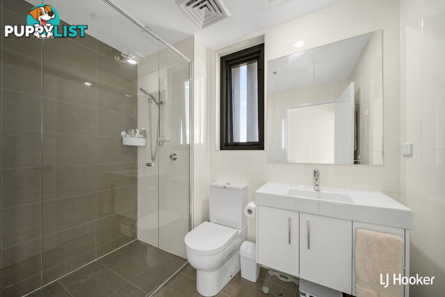 71/41 Chandler Street BELCONNEN ACT 2617