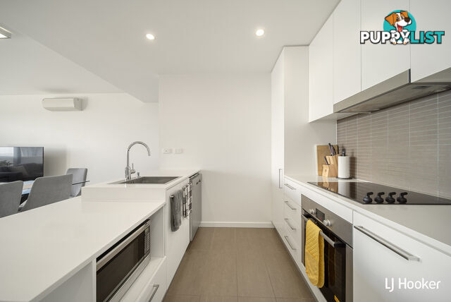 71/41 Chandler Street BELCONNEN ACT 2617