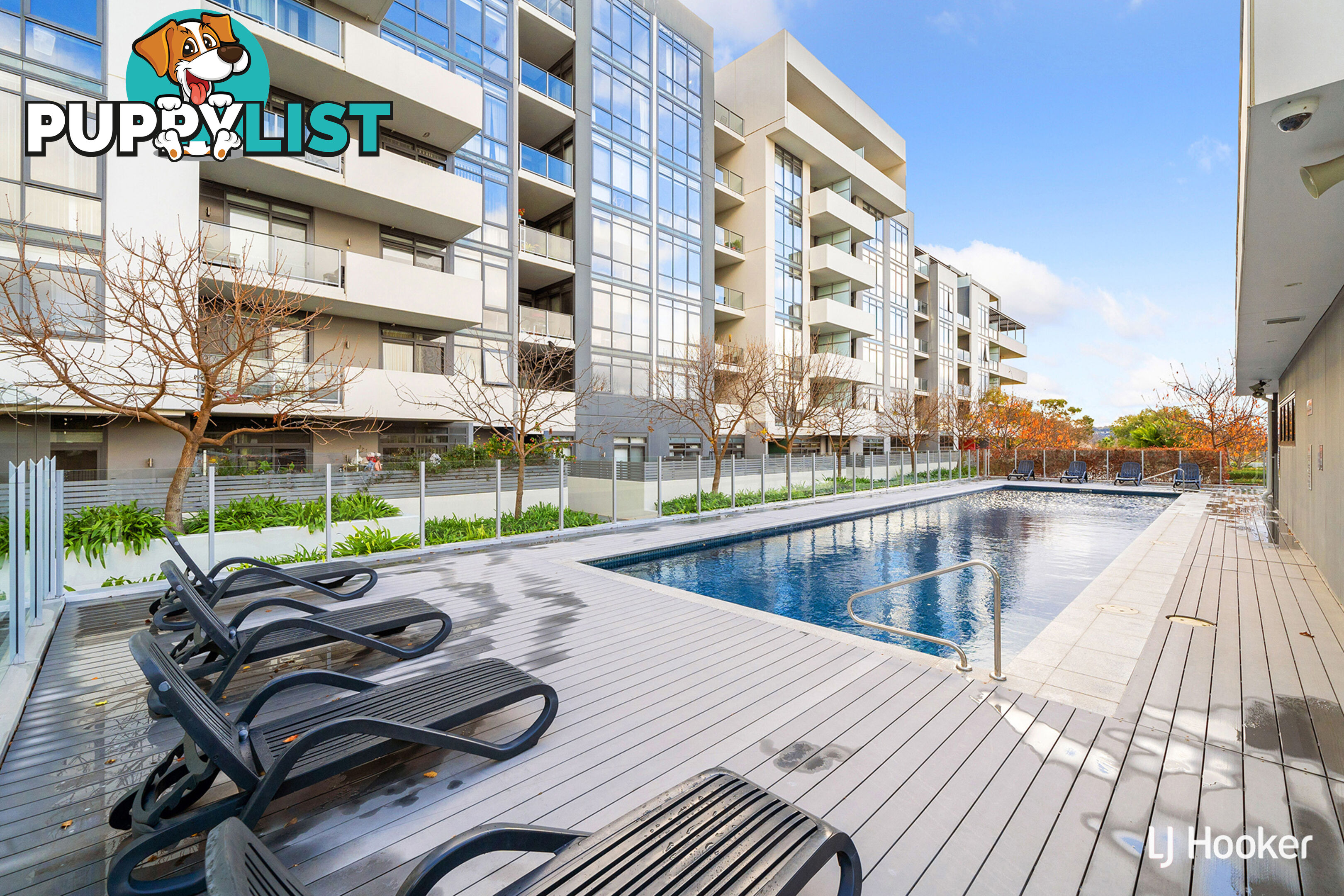 71/41 Chandler Street BELCONNEN ACT 2617