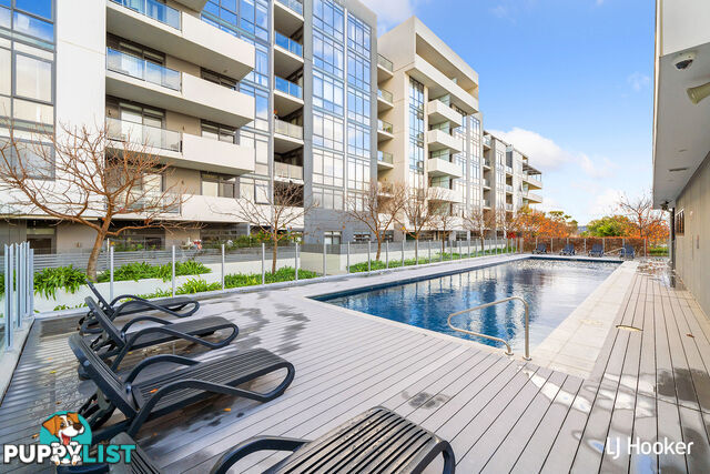 71/41 Chandler Street BELCONNEN ACT 2617