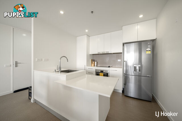 71/41 Chandler Street BELCONNEN ACT 2617