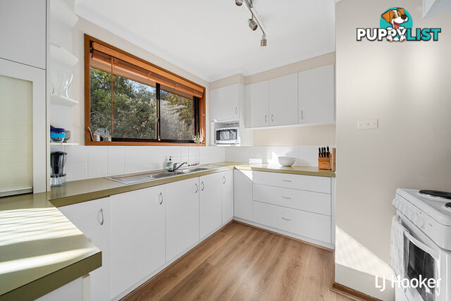 1/15 Hargrave Street SCULLIN ACT 2614
