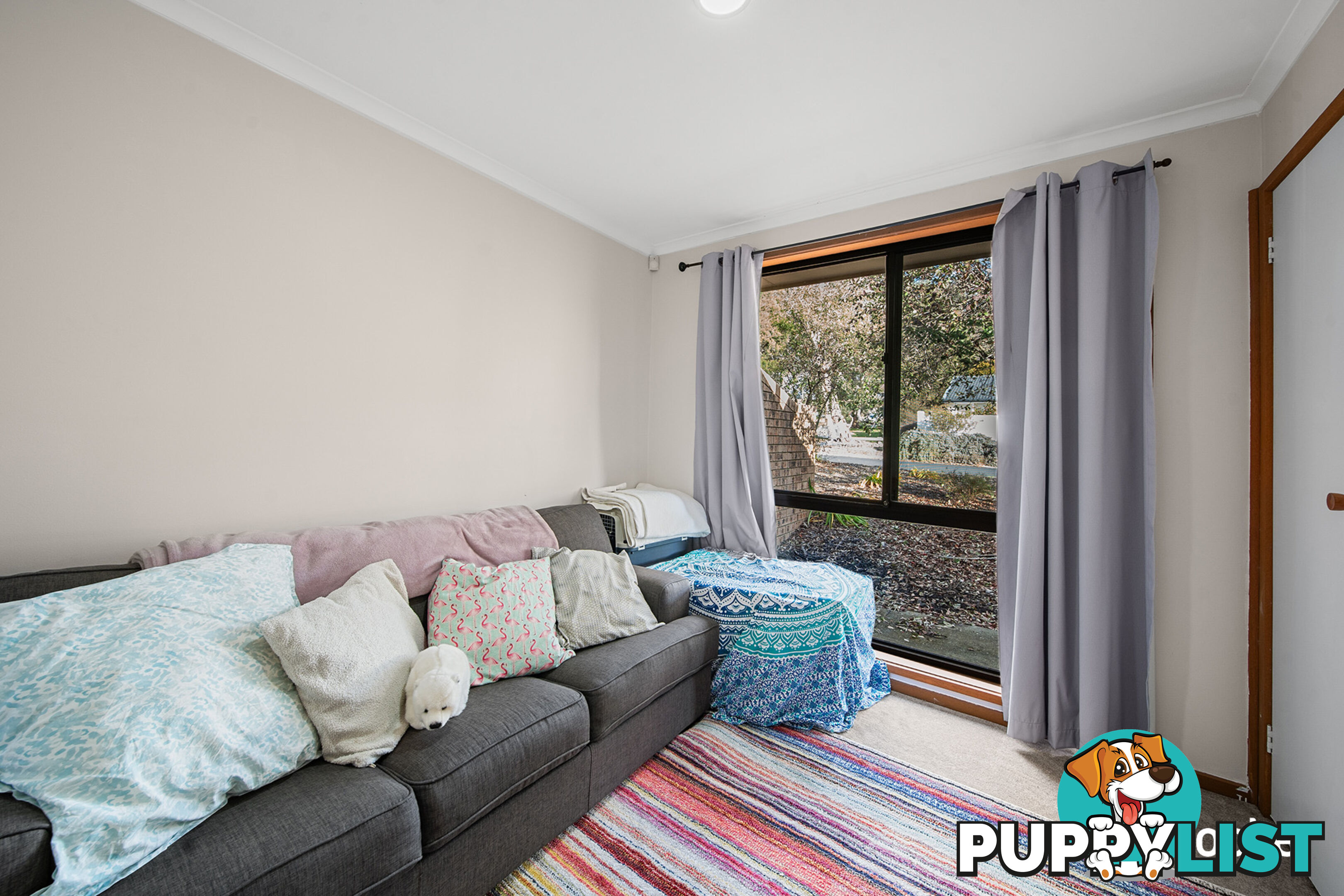 1/15 Hargrave Street SCULLIN ACT 2614