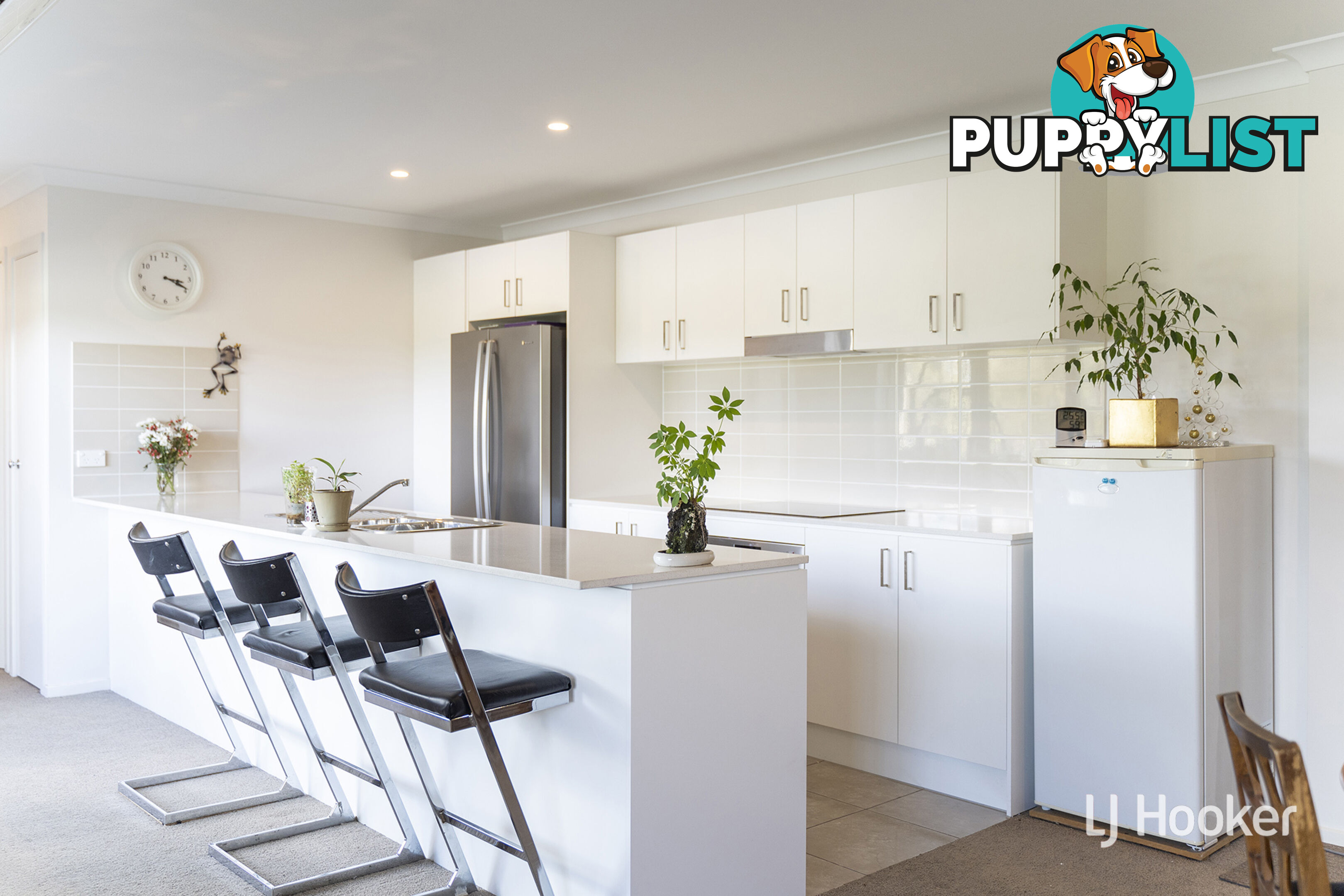 50/20 Bindubi Street MACQUARIE ACT 2614