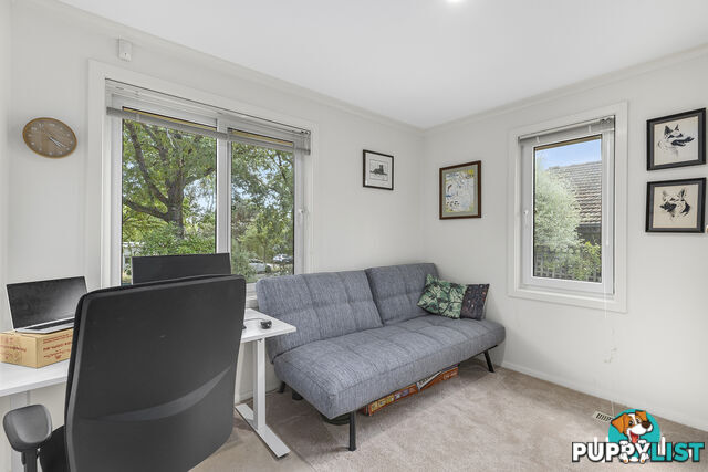 33 Clianthus Street O'CONNOR ACT 2602