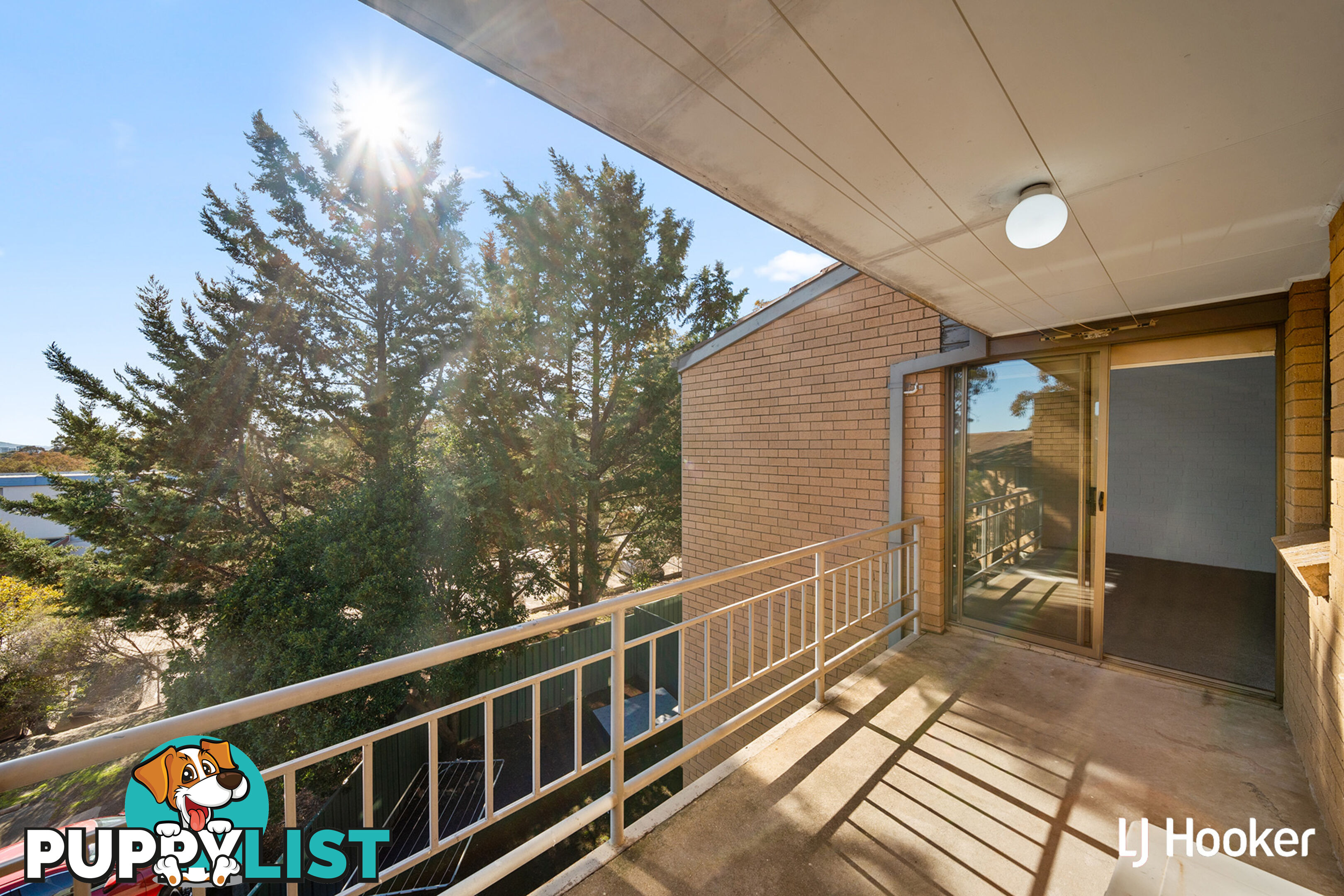 19/10 Wilkins Street MAWSON ACT 2607