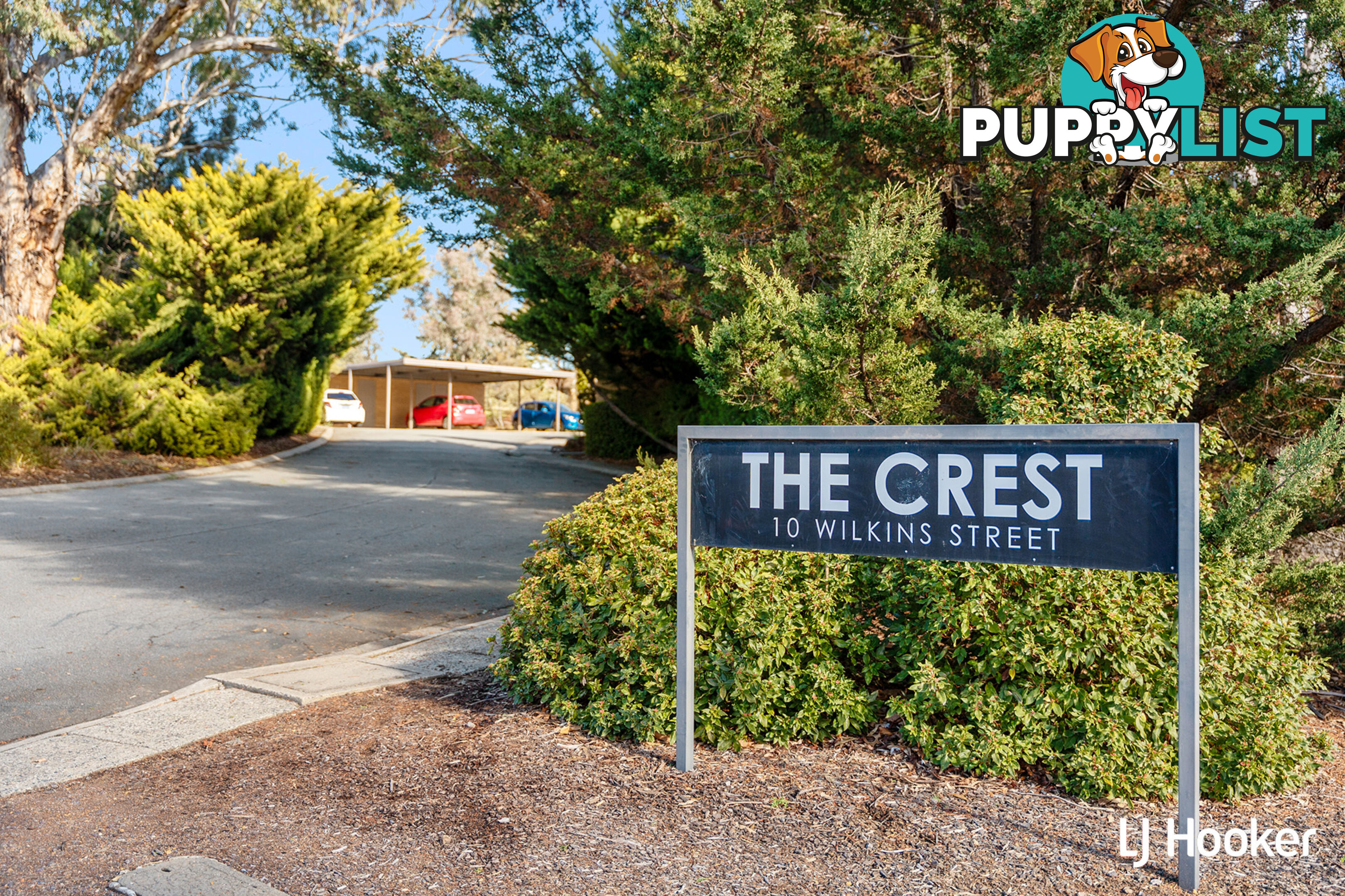 19/10 Wilkins Street MAWSON ACT 2607