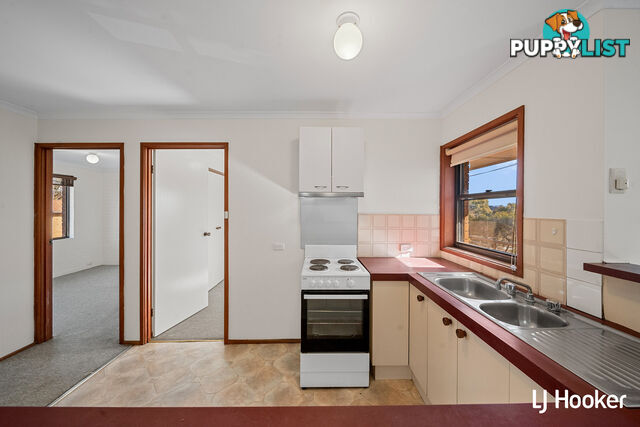 19/10 Wilkins Street MAWSON ACT 2607