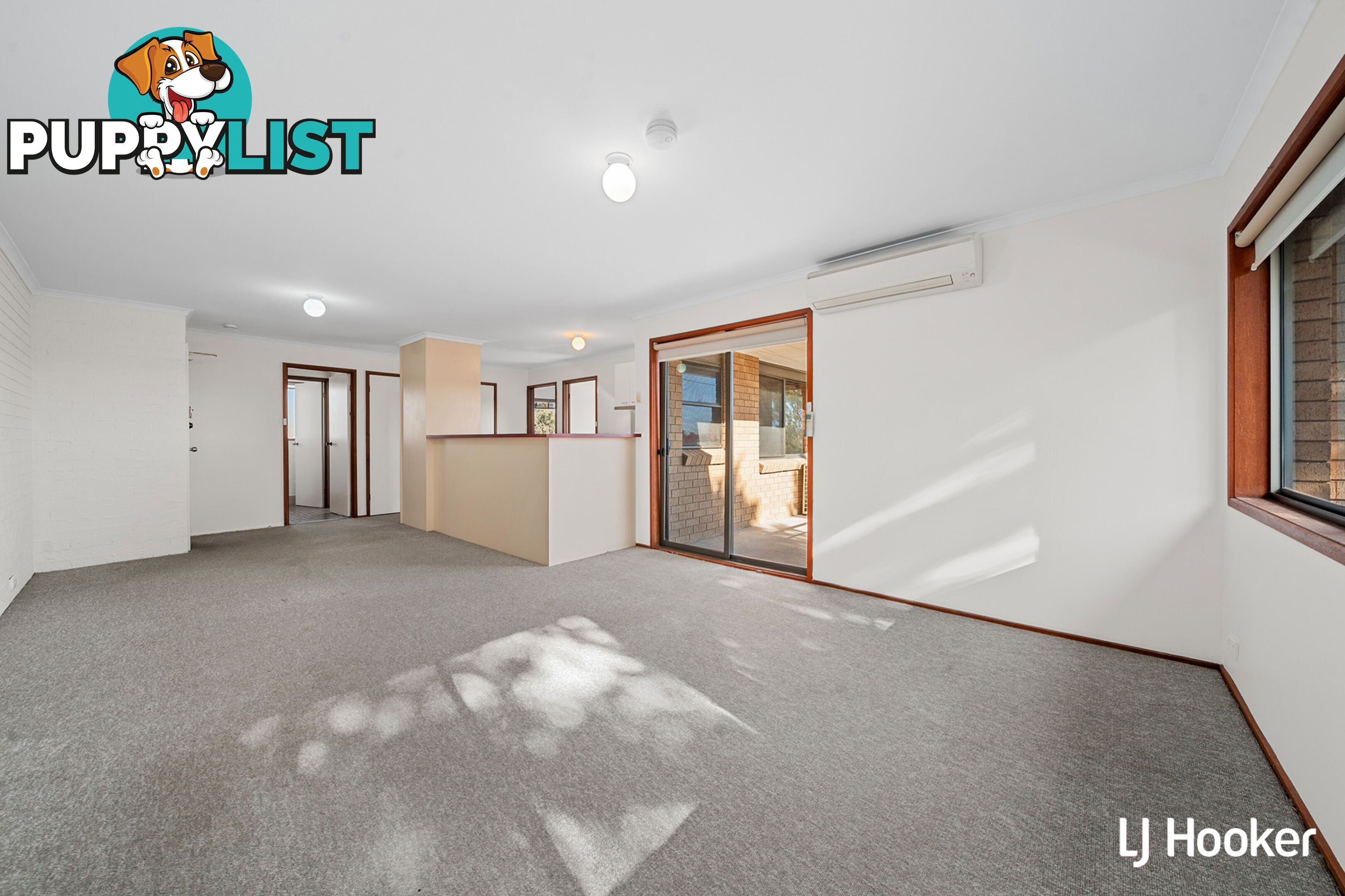 19/10 Wilkins Street MAWSON ACT 2607