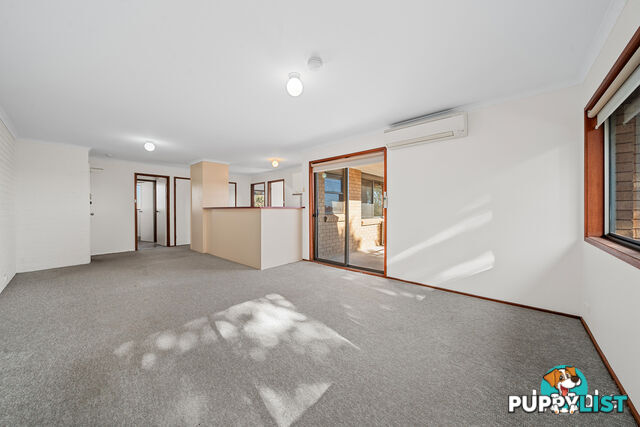 19/10 Wilkins Street MAWSON ACT 2607