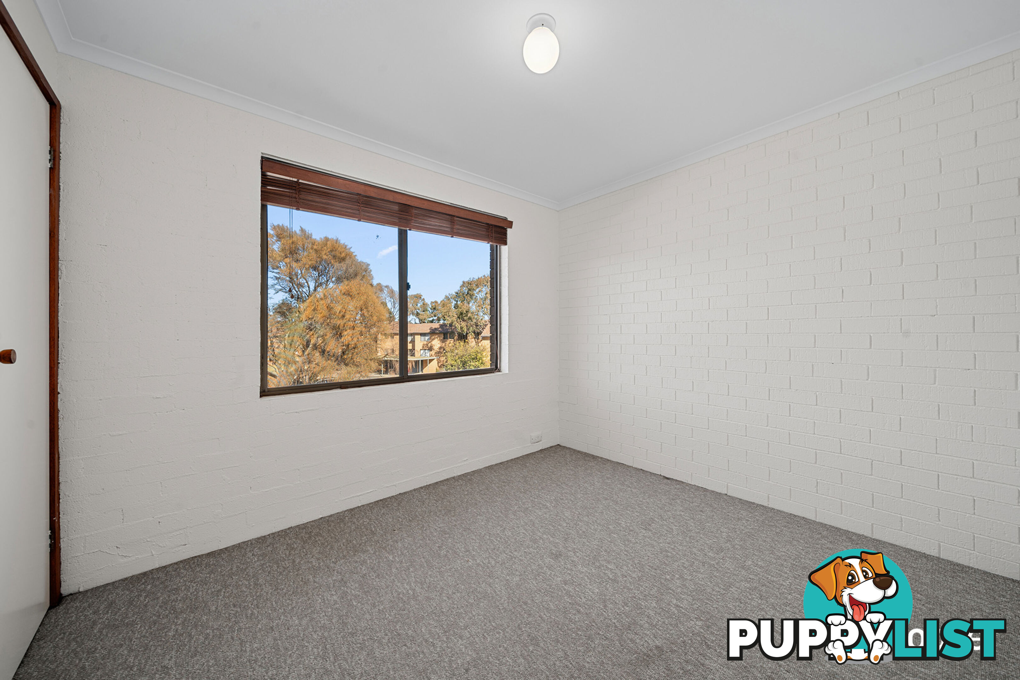 19/10 Wilkins Street MAWSON ACT 2607