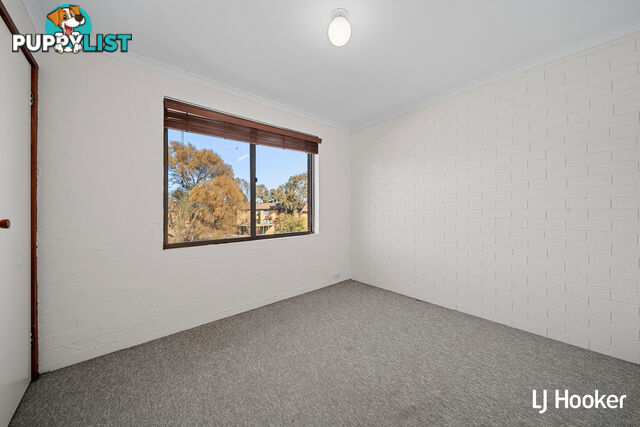 19/10 Wilkins Street MAWSON ACT 2607