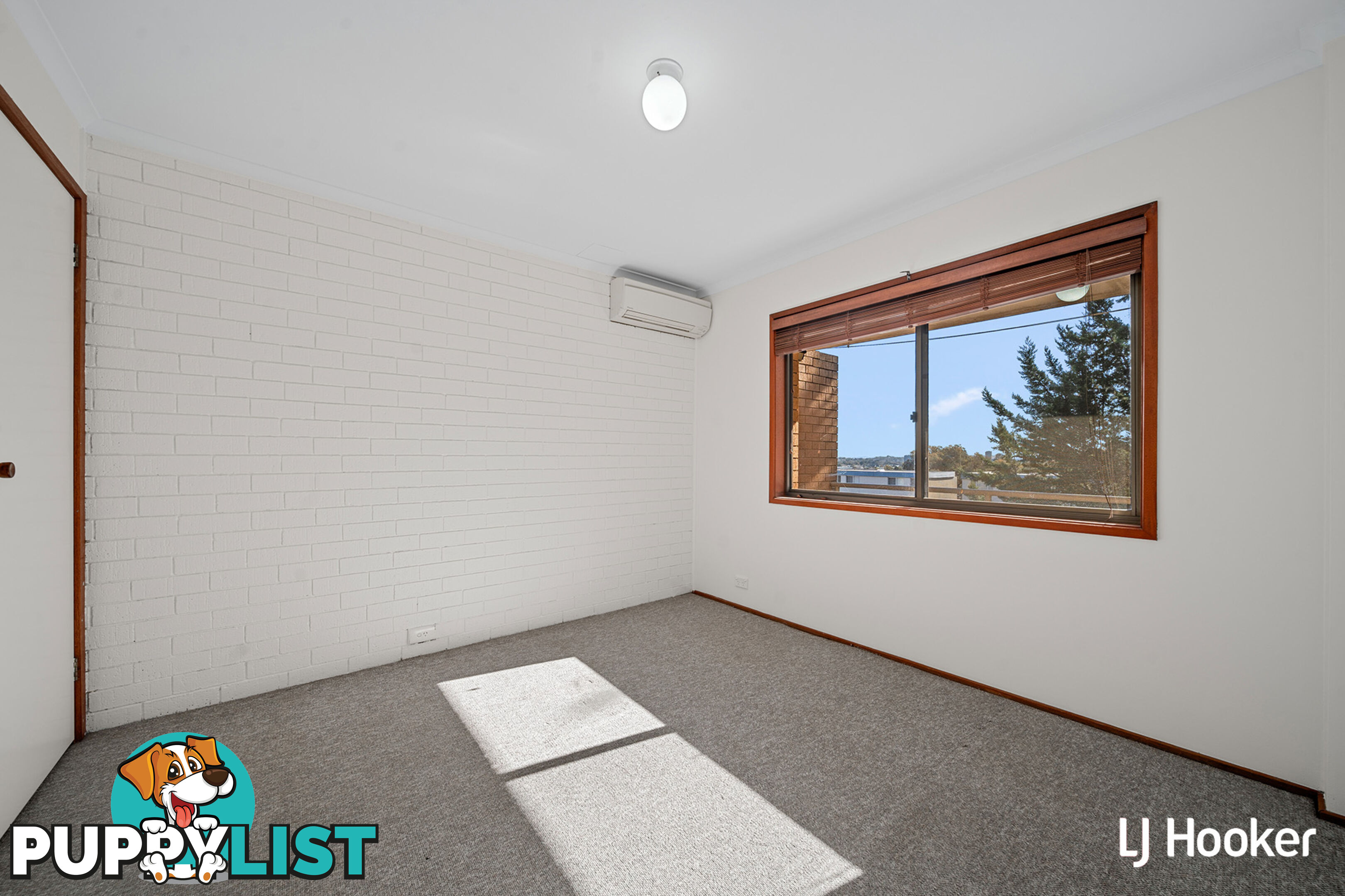 19/10 Wilkins Street MAWSON ACT 2607