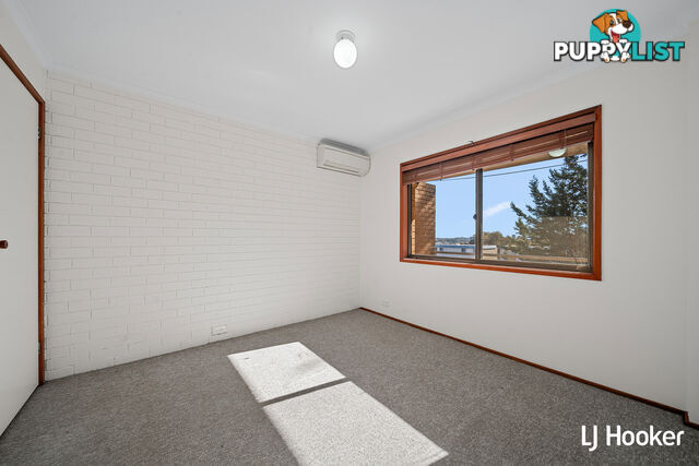 19/10 Wilkins Street MAWSON ACT 2607